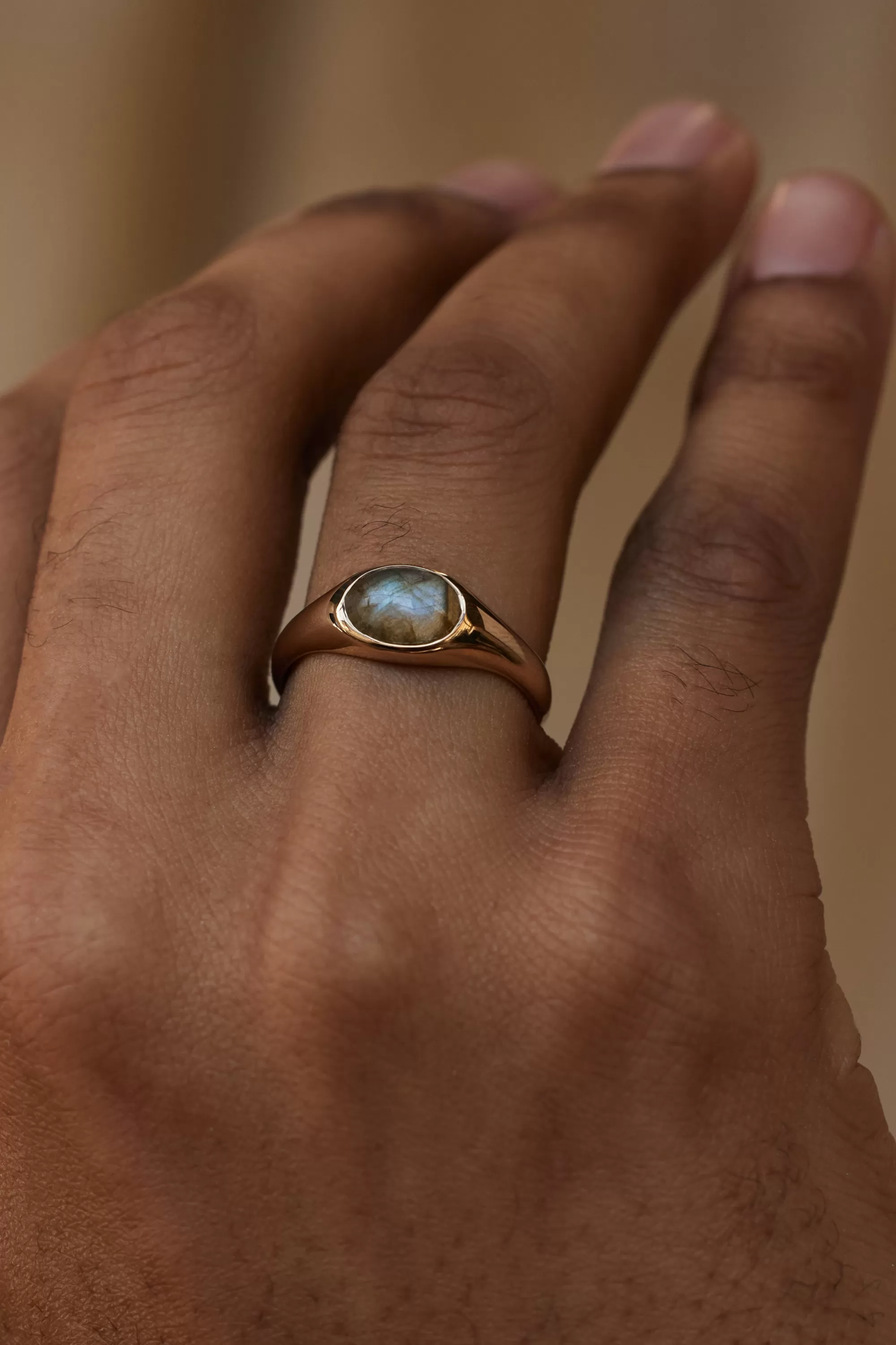 Best Sale Ellipse Signet Ring - Labradorite Rings